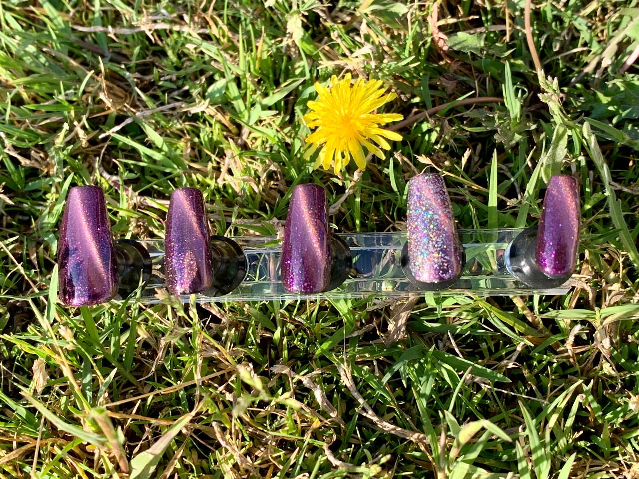 Dark Purple Astro