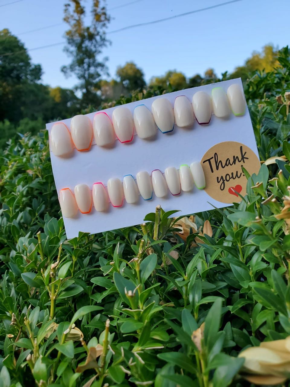 Rainbow 🌈 Tooth