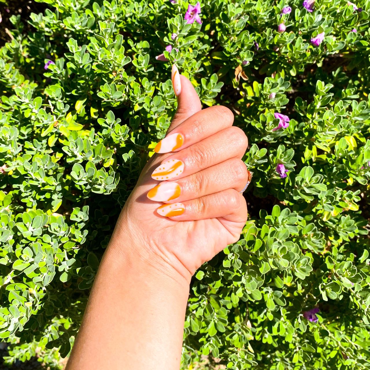 Burst of Orange 🍊