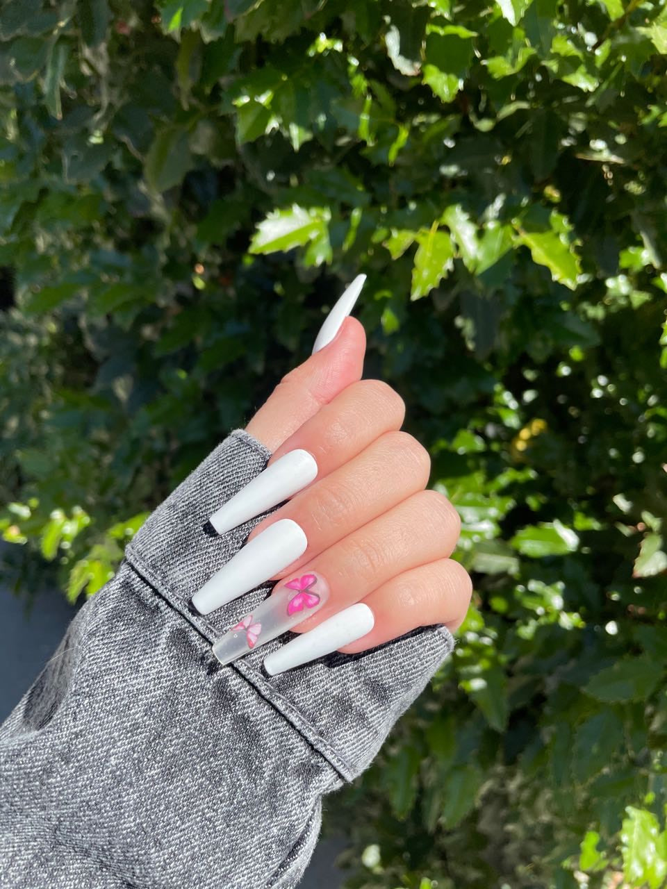 White butterfly