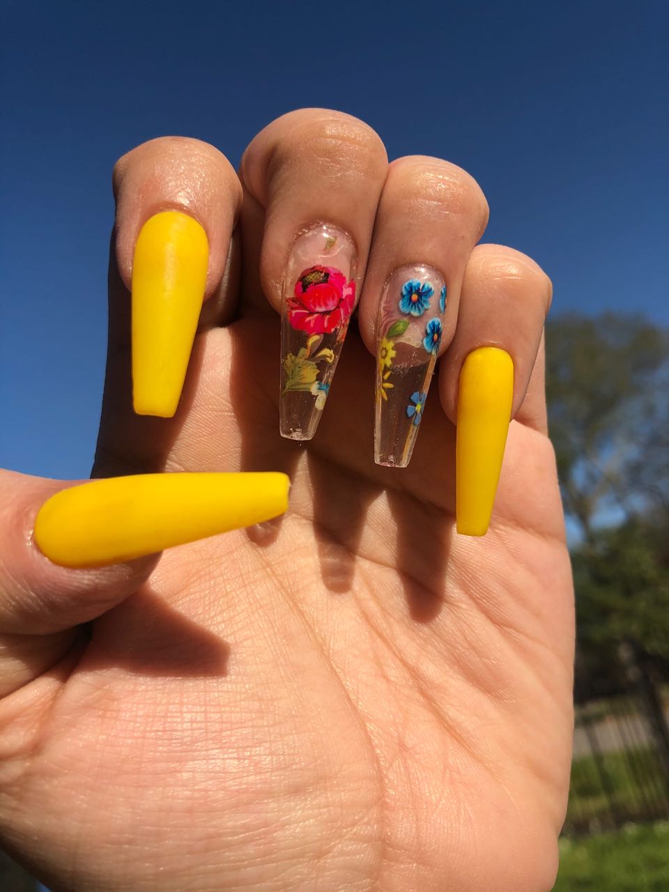 Spring is in the air