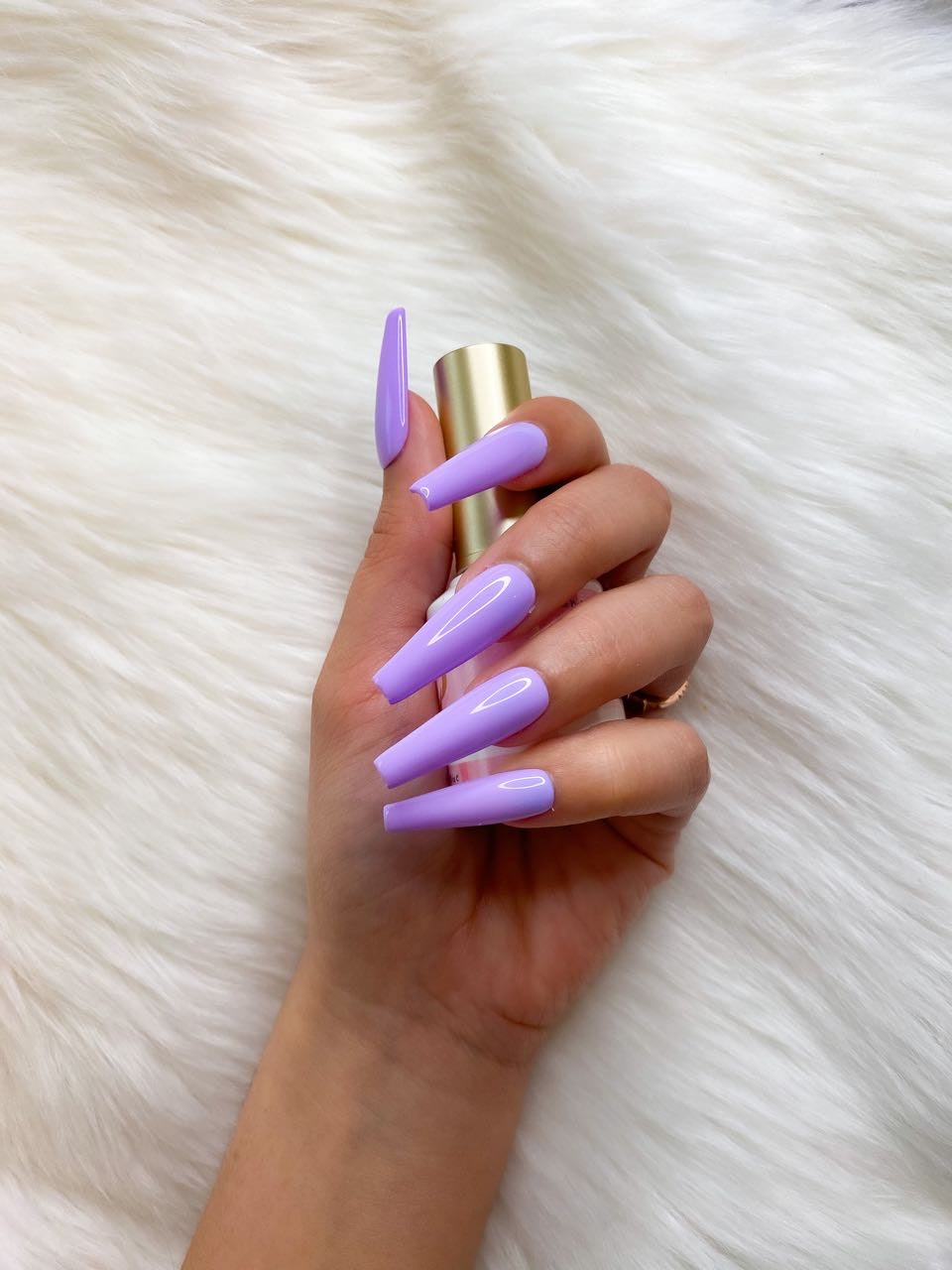Lavender Cupcake