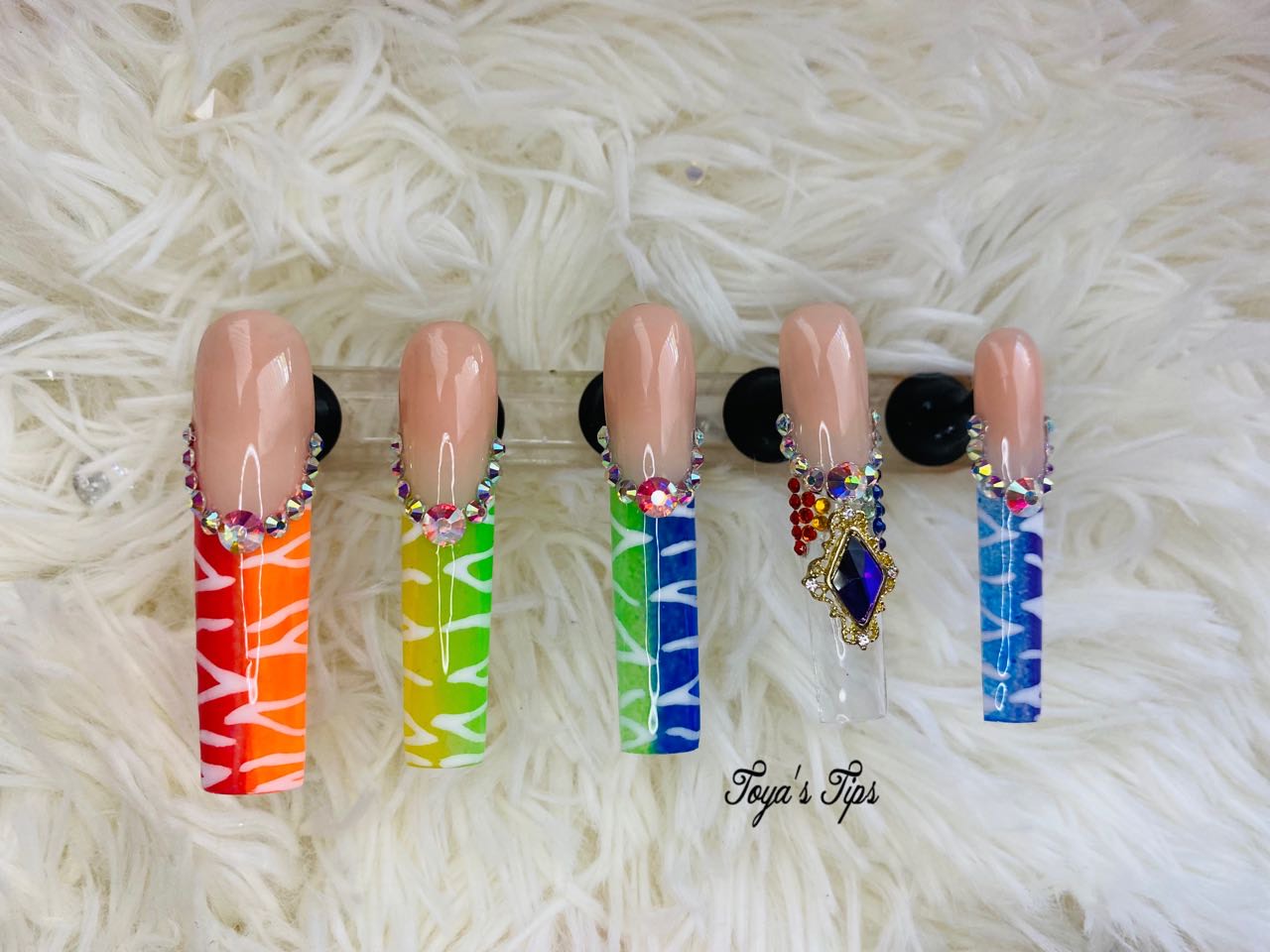 Rainbow Zebra