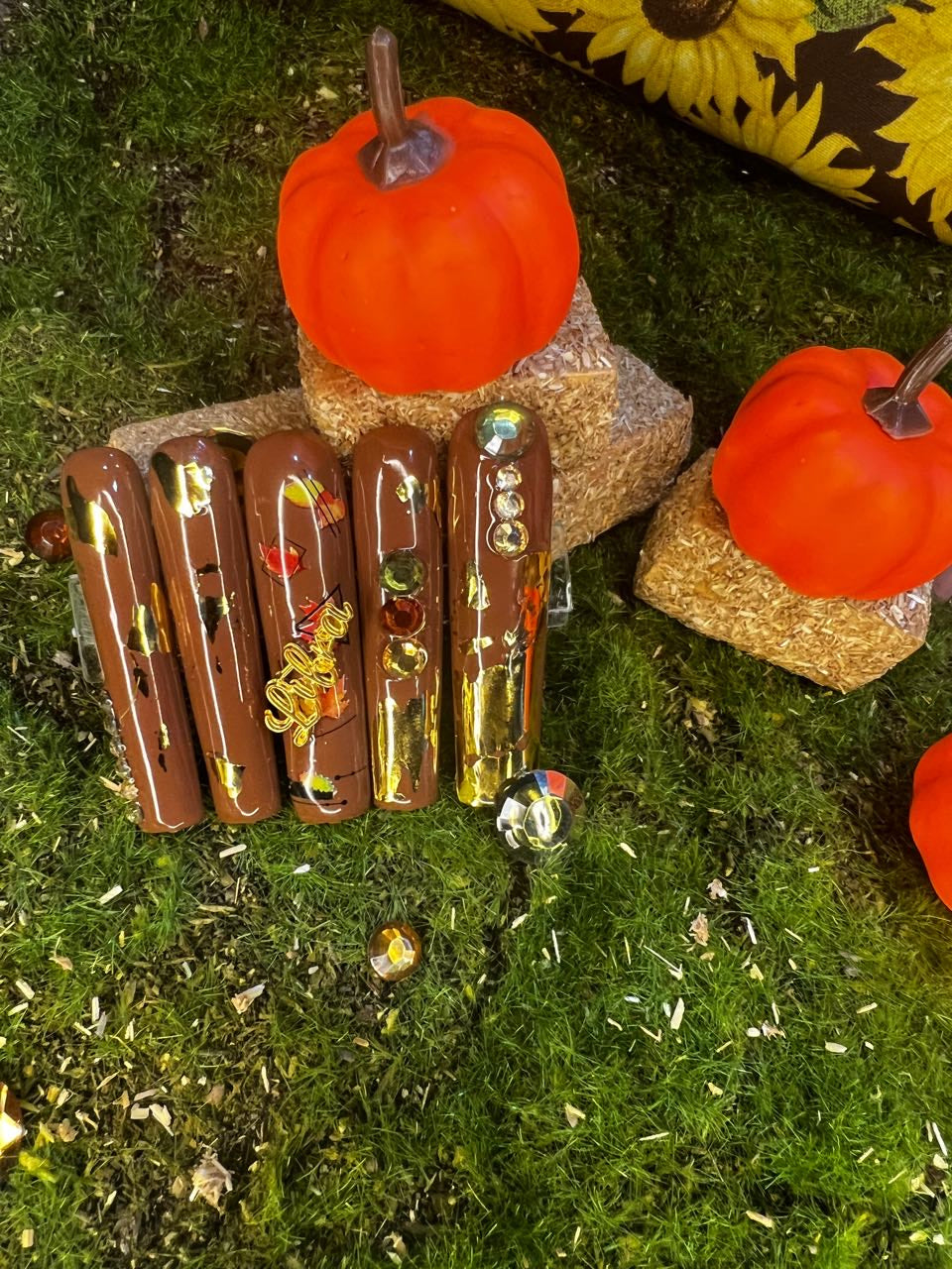 Fall Zodiacs