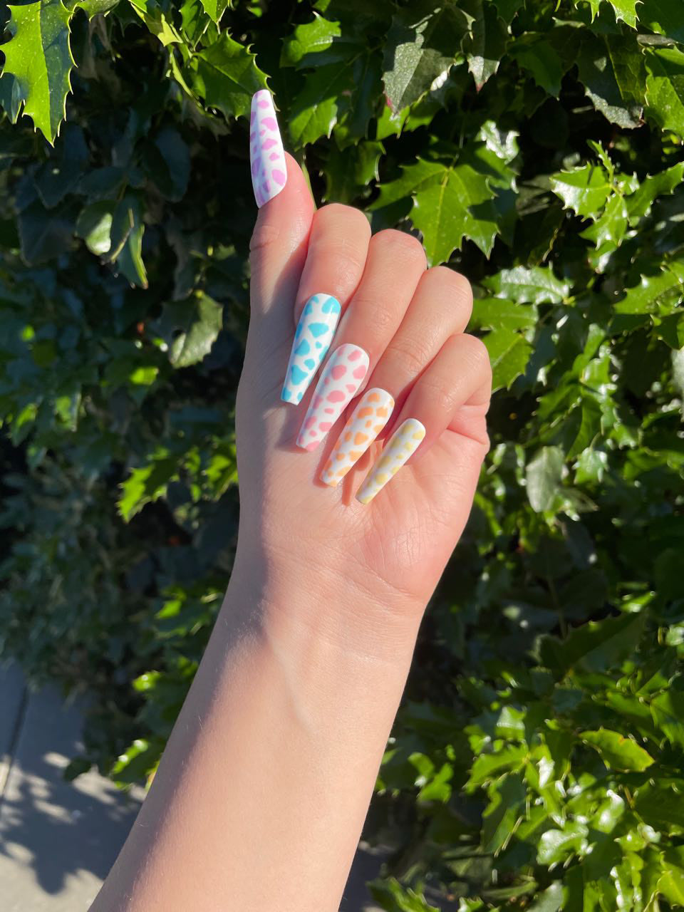 Pastel Cow Print