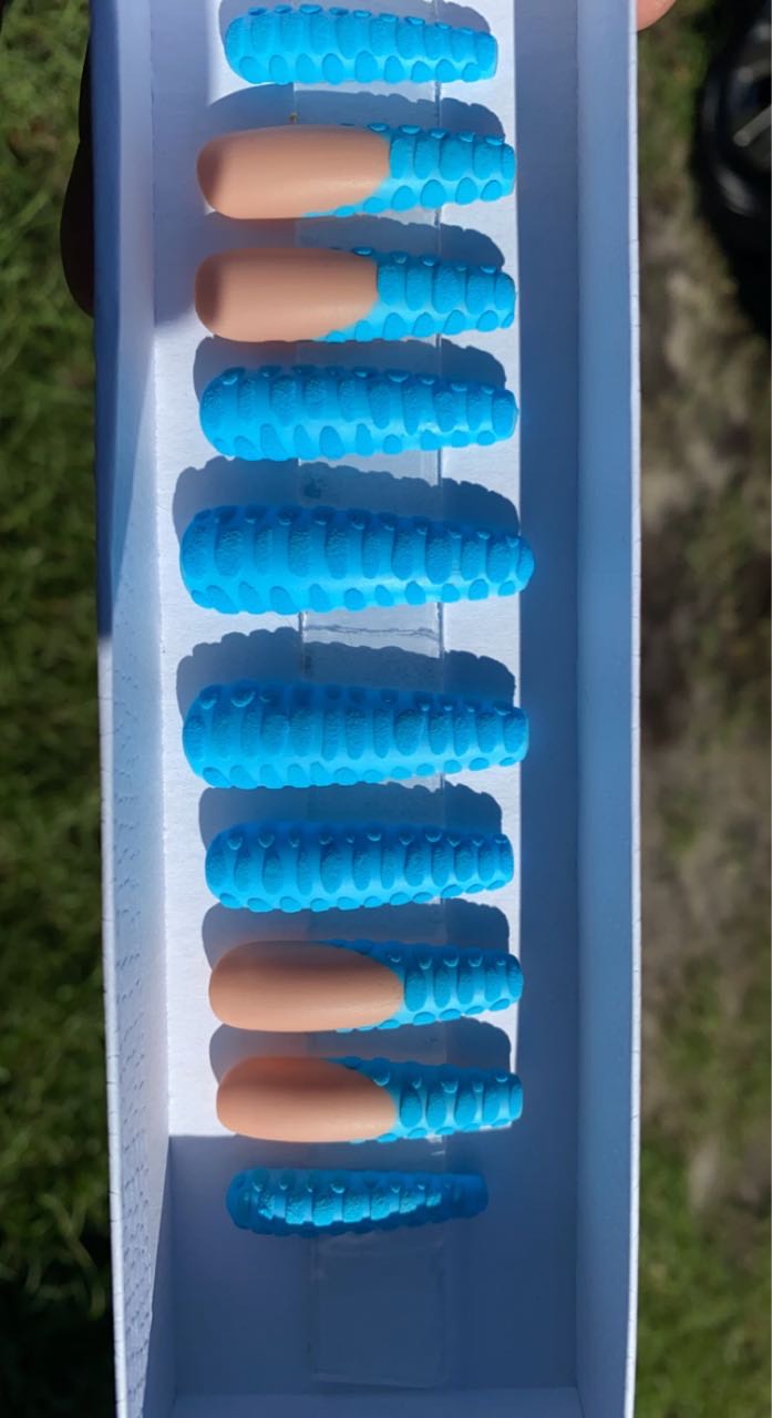 Blue Gator