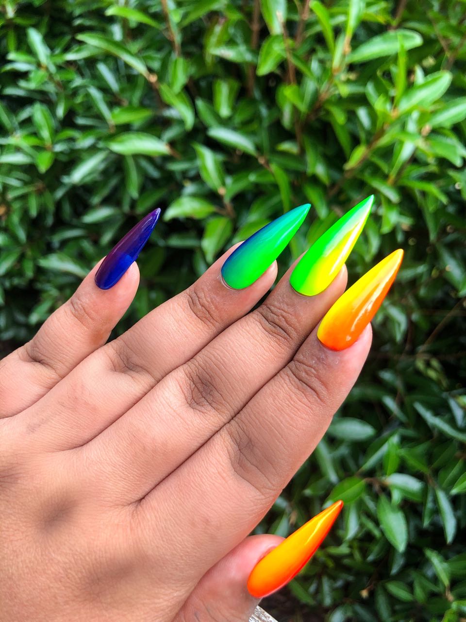 Rainbow ombr  nails