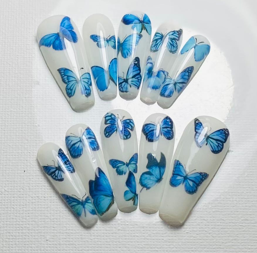Butterfly ??